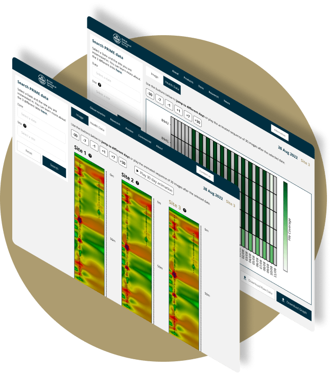 Picture ERT data
